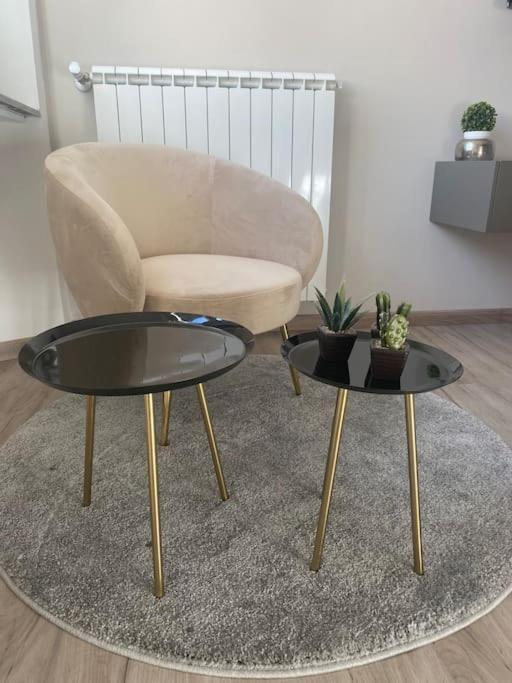 Micheli Apartment Флоренция Экстерьер фото